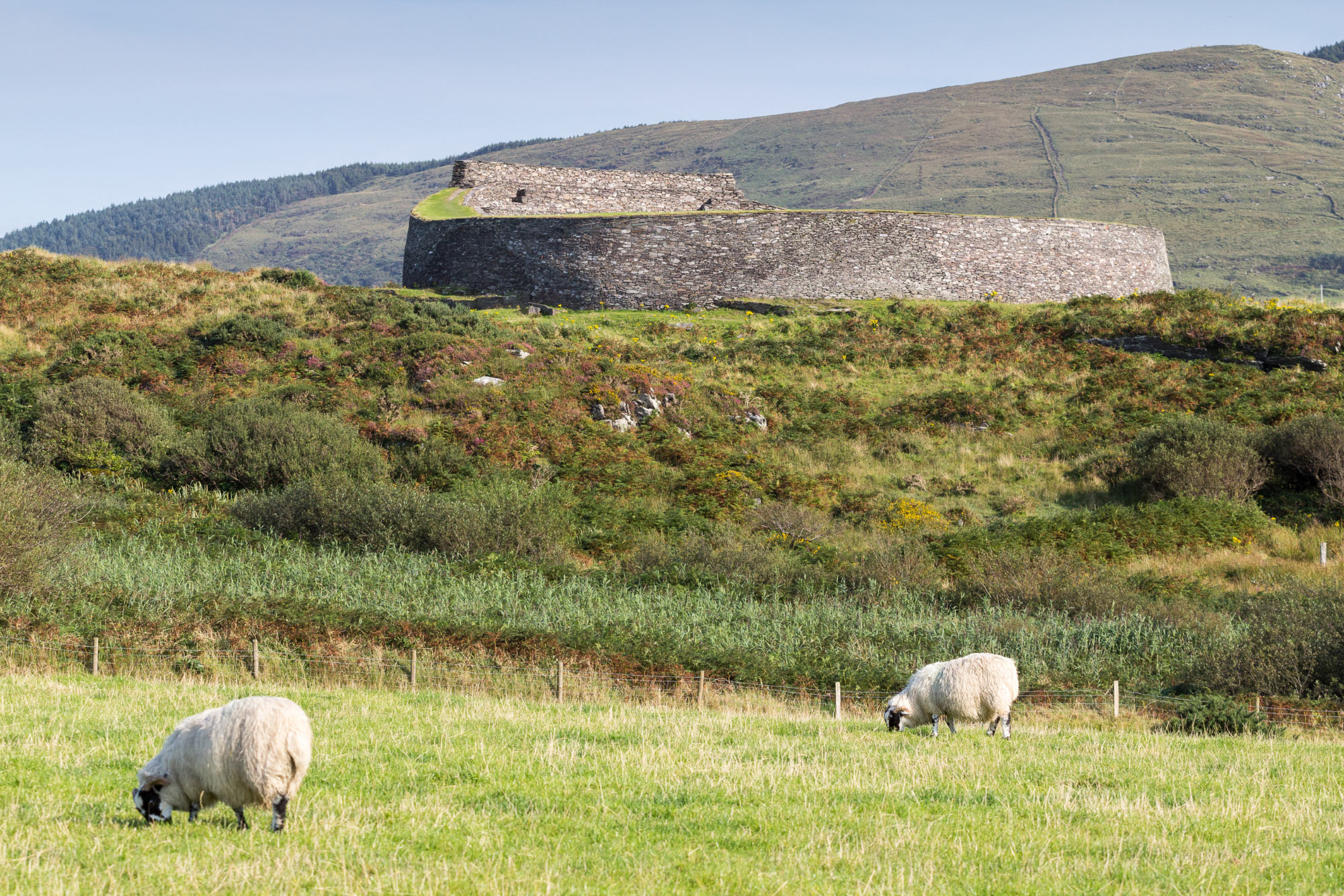 Cahergall Stone Fort, Cahersiveen (Photo License CC-BY-SA-4.0)